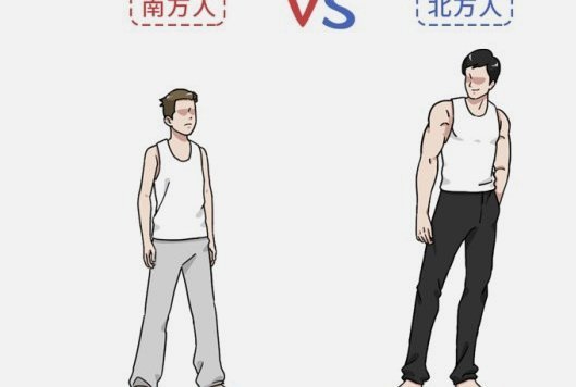 北方身高真相：175-180更常见
