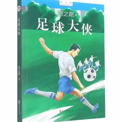 想写一部关于中国足球青训的小说，类似于日本足球小将，大家有什么建议吗