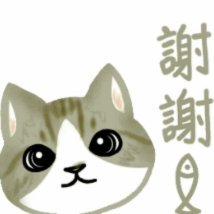 记者：海牛外援图费格季奇恢复有球训练，能否出战泰山存疑