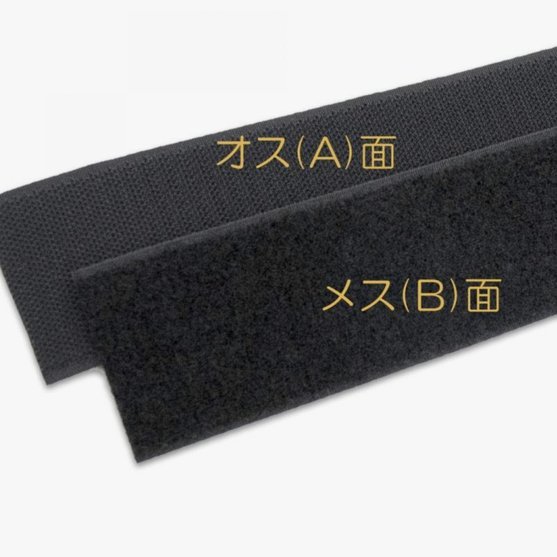 戈登精通双语融入巴萨大家庭