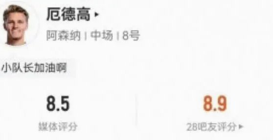 我们本应进4-5球 厄德高健康状态出色